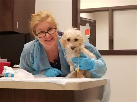 Specialties BluePearl Pet Hospital, formerly Lakeshore Veterinary Specialists, in Port Washington, WI is a 24 hour emergency vet and veterinary specialty animal hospital. . Bluepearl pet hospital lewisville reviews